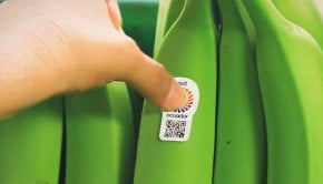 publicidade-maruri-grey-equador-banana-com-limao