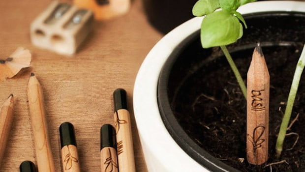Sprout: O lápis que vira tomate, flores e outros vegetais