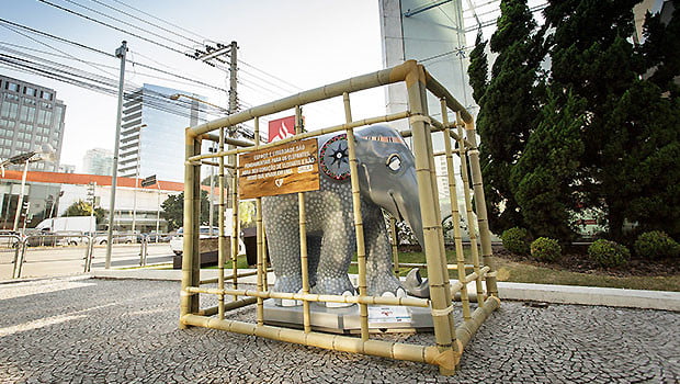 elephant-parade-amarula-exposicao-com-limao-01