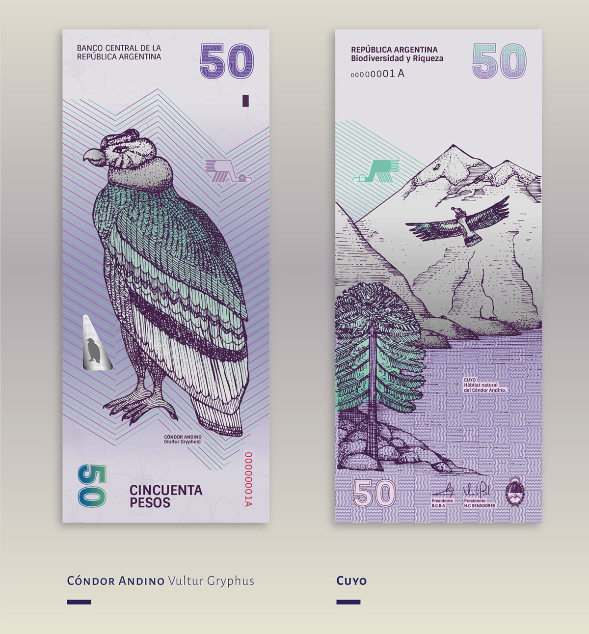 peso-argentino-redesign-com-limao-05