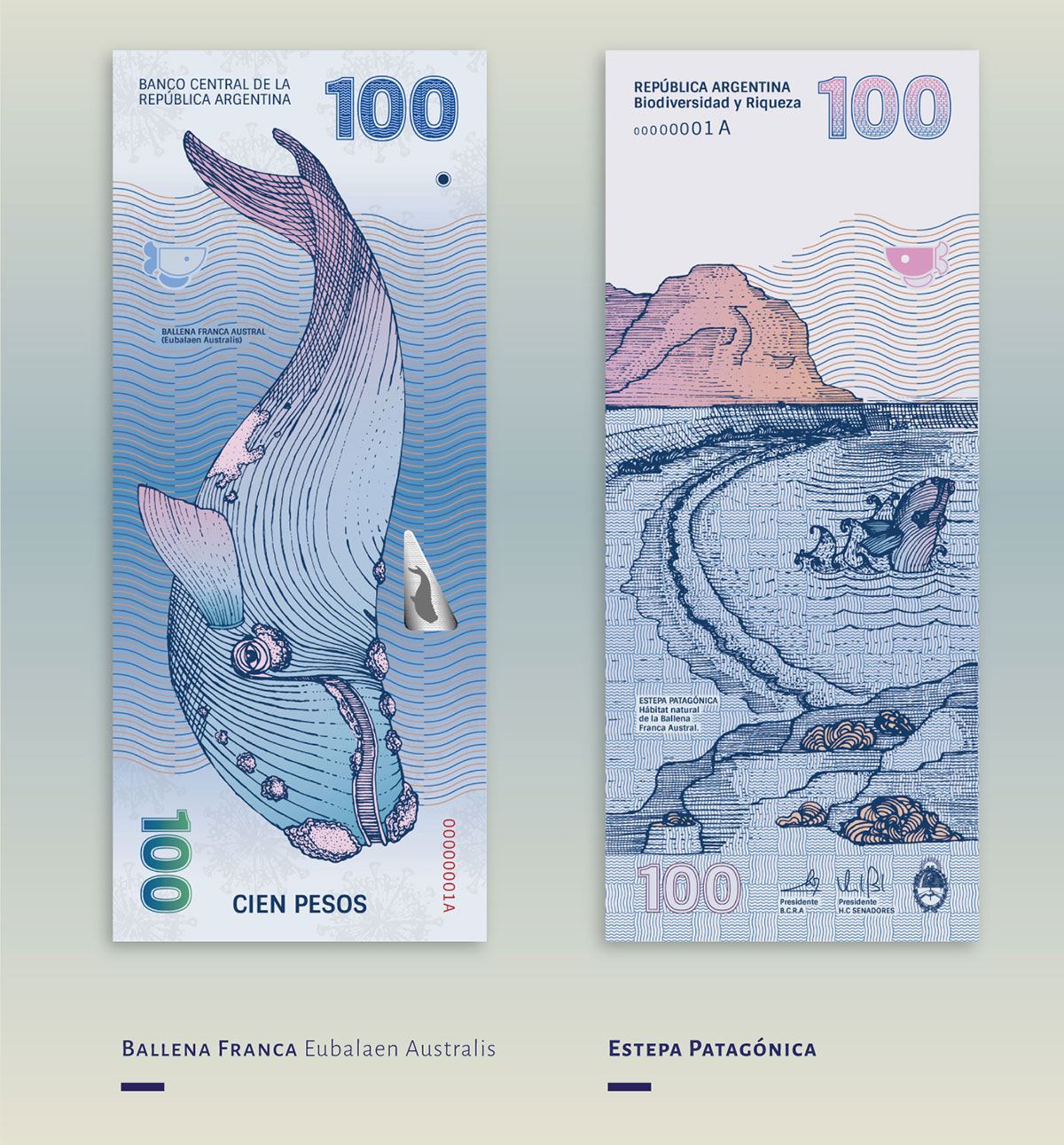 peso-argentino-redesign-com-limao-06