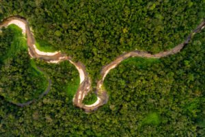 [Podcast] Reconecta: Reflexões Sobre A Relação Do Homem Com O Meio Ambiente