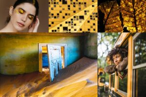 Relatório De Tendências De Cores 2021, Da Shutterstock, Apresenta Tons Mais Suaves