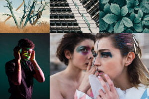 Relatório De Tendências De Cores 2021, Da Shutterstock, Apresenta Tons Mais Suaves