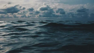 "A IA é o maremoto. E a gente esquece que depois dele, vêm os tsunamis."